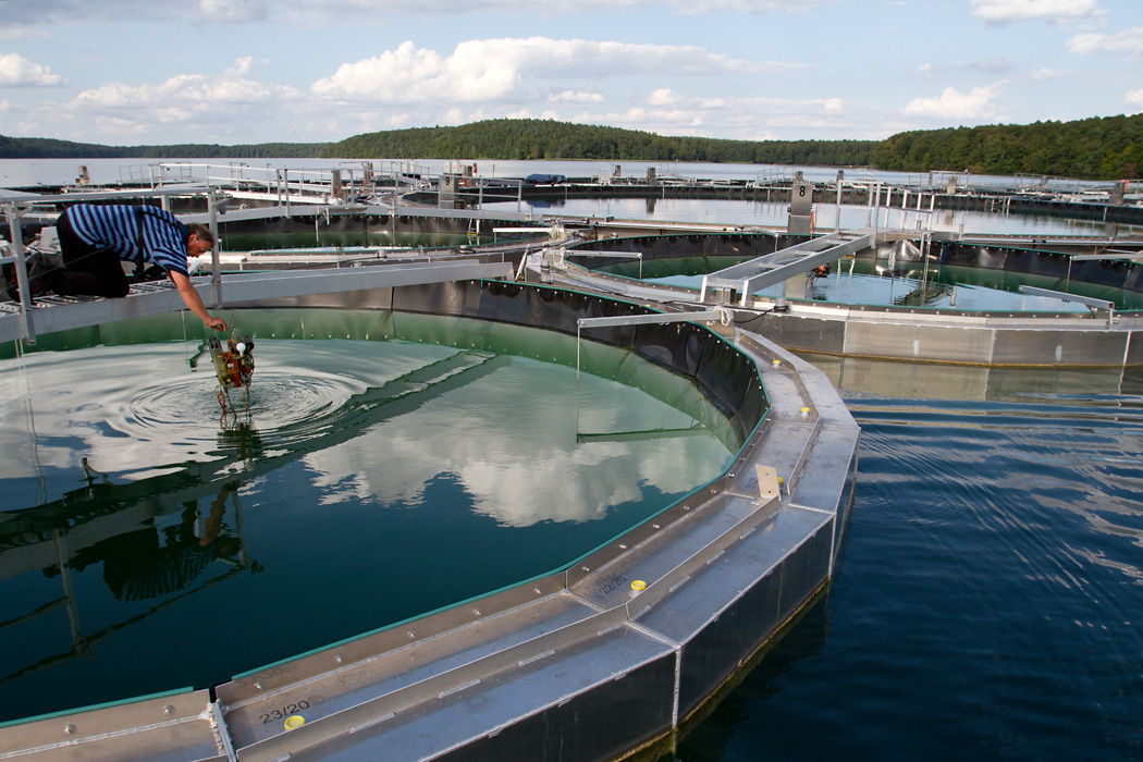 A researcher checks a sensor at the Leibniz Institute of Freshwater Ecology and Inland Fisheries