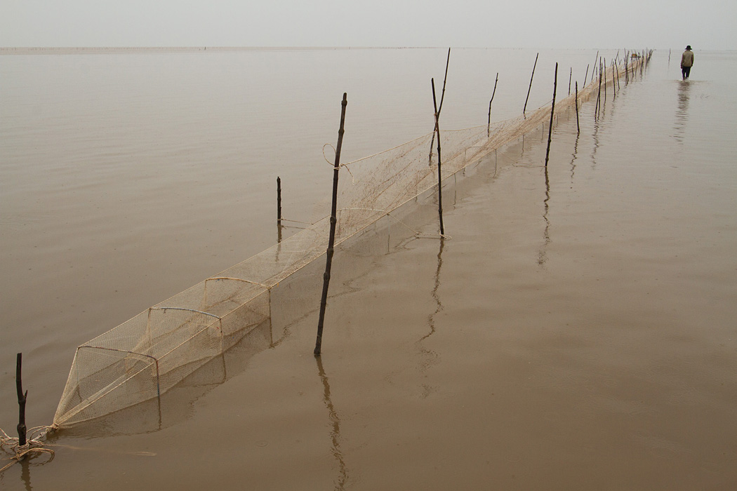 A fish trap in the shallow coastal waters of the Mekong Delta in southern Vietnam