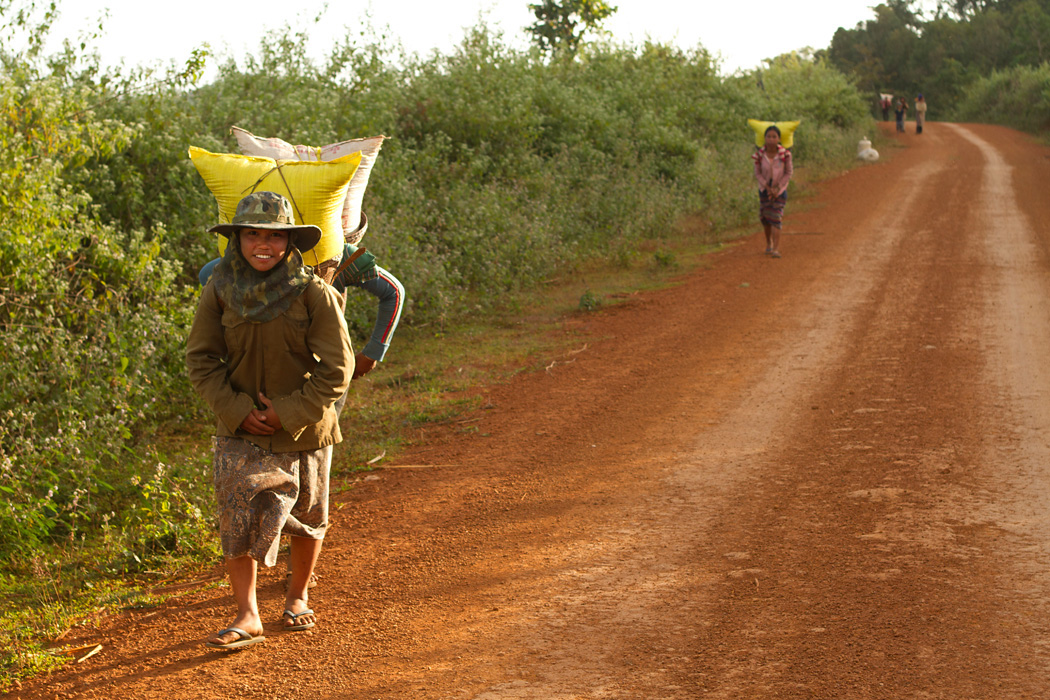 Young girls carry sacks of rice back from the fields. 