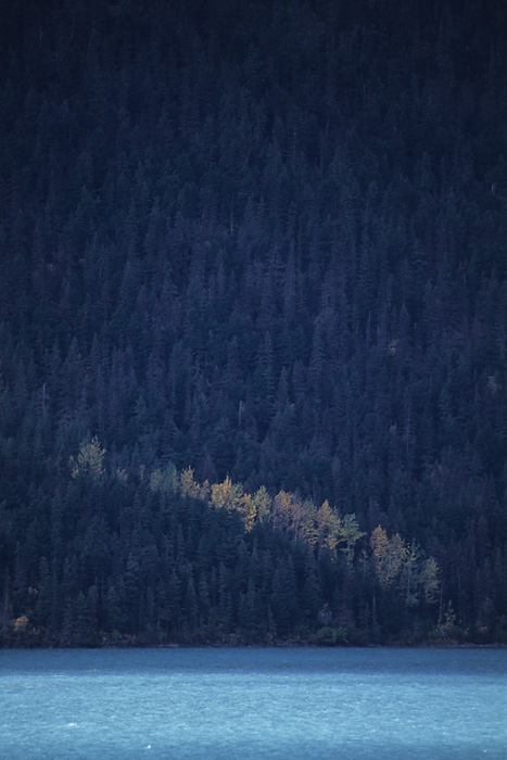 First signs of autumn on the shore of Kenai Lake