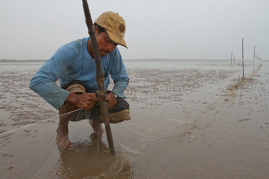 A man fixes a tidal fish trap off the coast of Soc Trang, Vietnam.