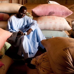 A local UN Volunteer tracks the stock in a seed bank in the Sahel-area of Senegal